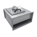 ibf ec.png