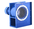 lfb-17.png