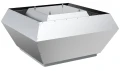 DVCI-P_20190506_132928053.jpg