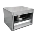 ibf-i_600_600.png