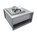 ibf ec.png
